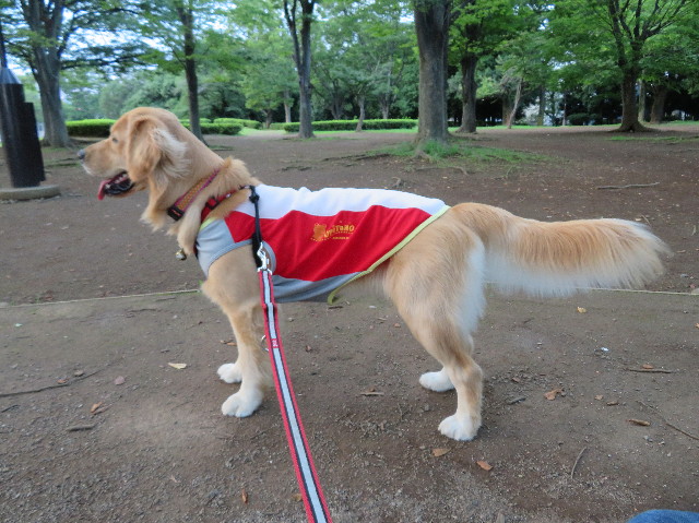 ファイル 7236-2.jpg