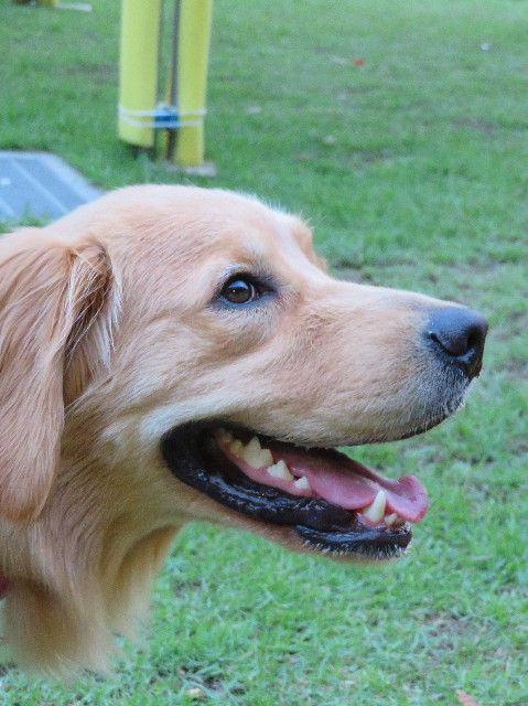 ファイル 7236-4.jpg