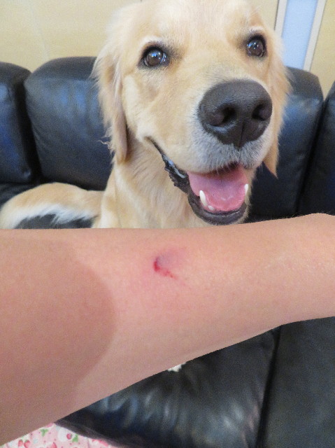 ファイル 7237-1.jpg