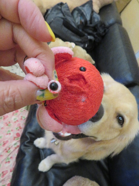 ファイル 7237-2.jpg