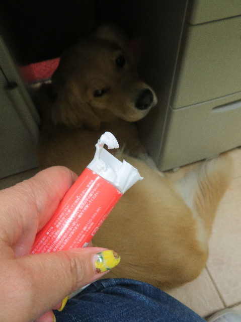 ファイル 7237-3.jpg