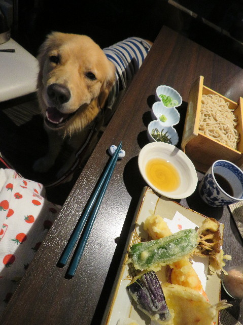 ファイル 7237-4.jpg