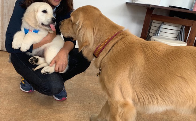 ファイル 7239-2.jpg