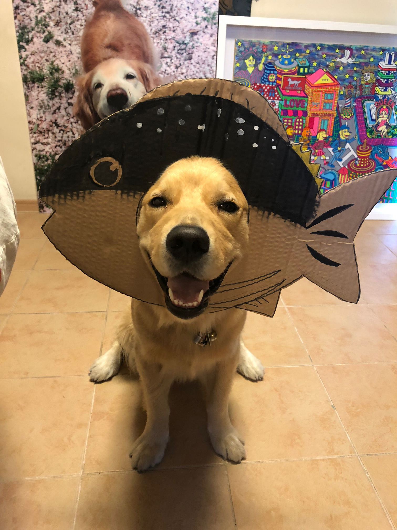 ファイル 7239-3.jpg