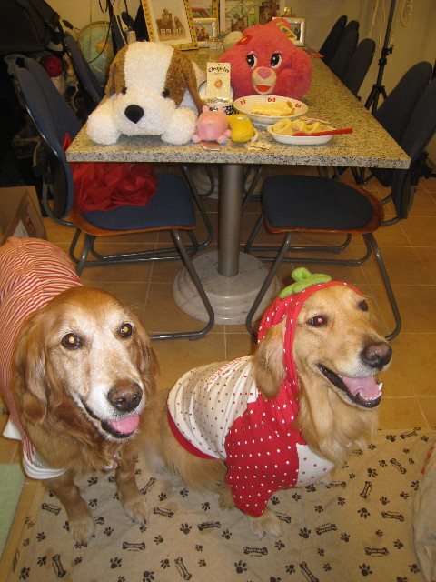 ファイル 724-2.jpg