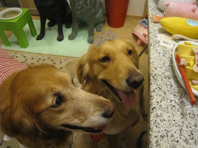 ファイル 724-3.jpg