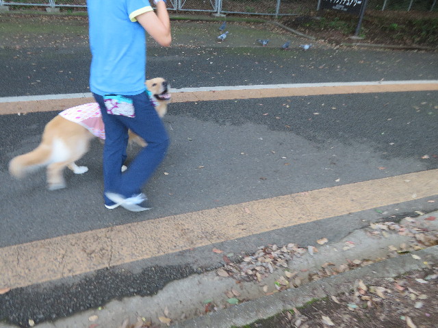 ファイル 7240-3.jpg