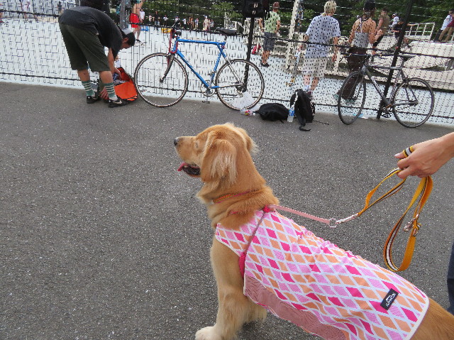 ファイル 7240-4.jpg