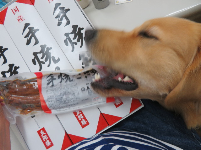 ファイル 7240-5.jpg