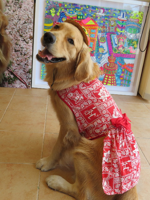 ファイル 7241-1.jpg