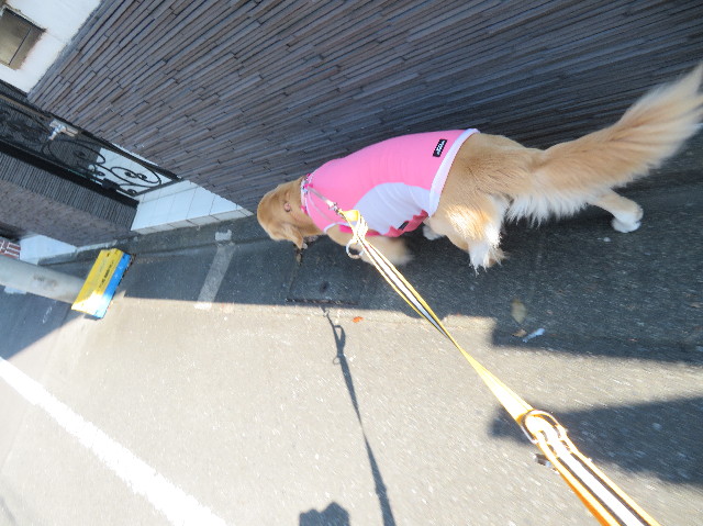 ファイル 7241-2.jpg