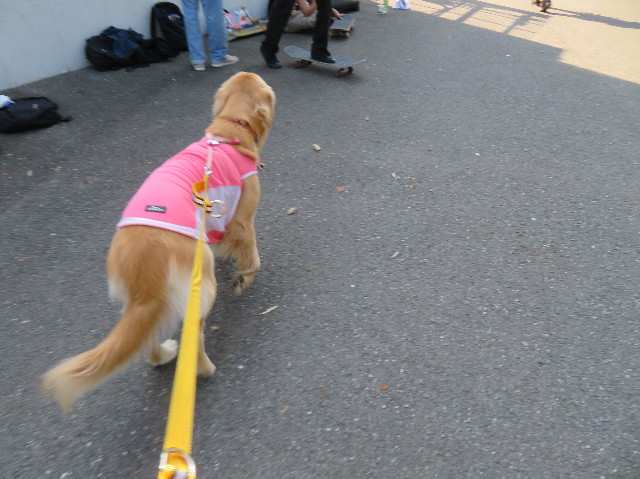 ファイル 7241-3.jpg