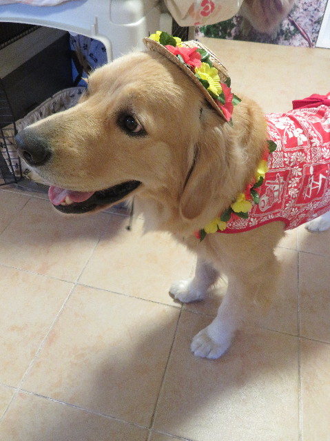 ファイル 7241-5.jpg