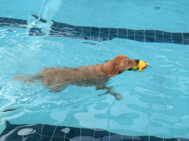 ファイル 7243-1.jpg