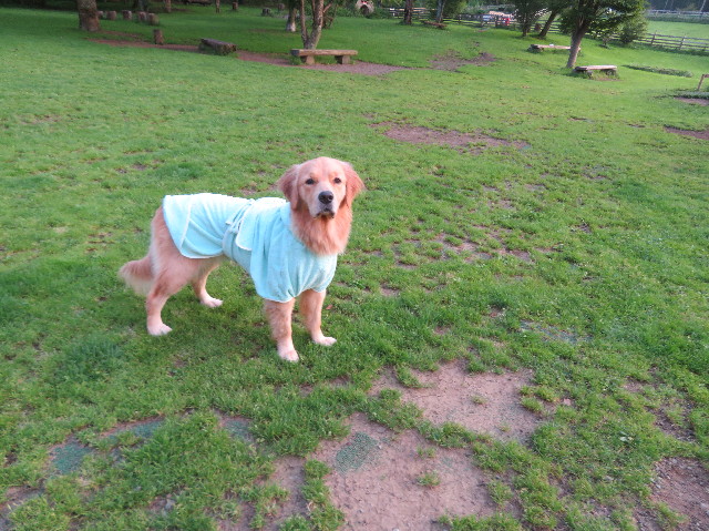 ファイル 7243-4.jpg