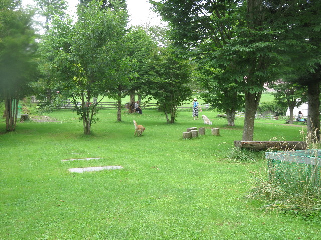 ファイル 7244-2.jpg