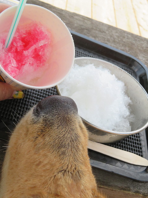 ファイル 7244-3.jpg