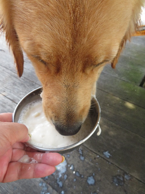 ファイル 7244-4.jpg