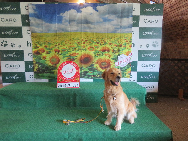 ファイル 7244-5.jpg