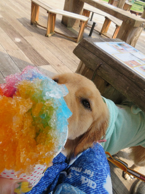 ファイル 7245-5.jpg