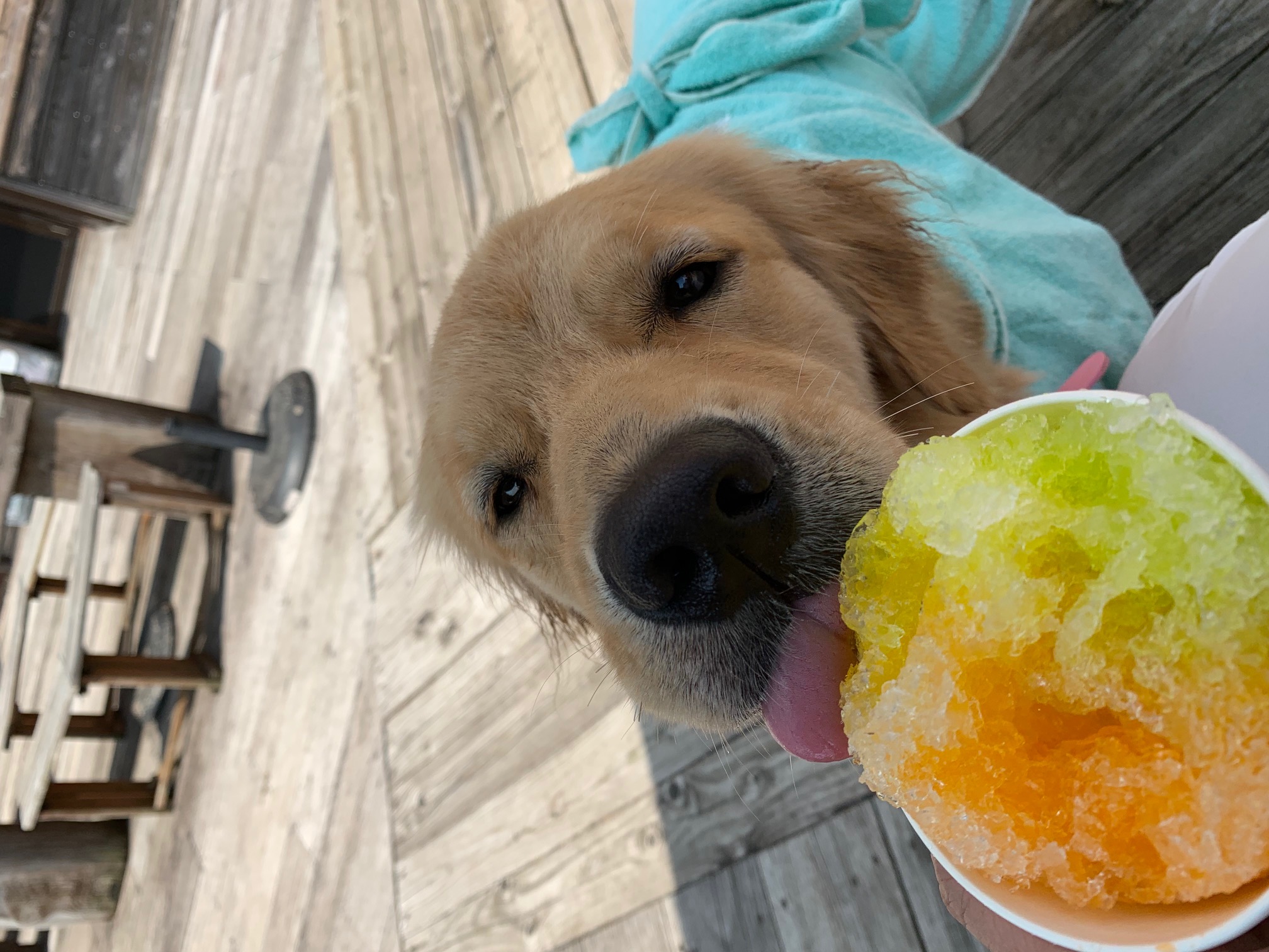 ファイル 7248-4.jpg