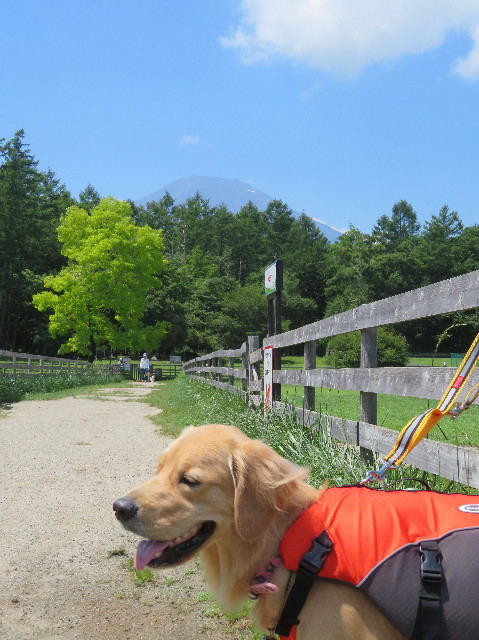 ファイル 7249-1.jpg