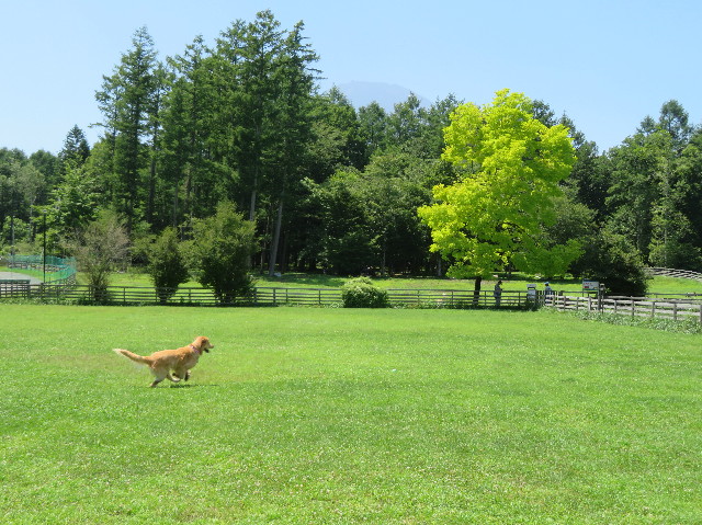 ファイル 7249-3.jpg