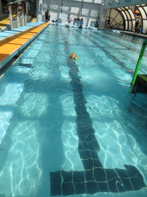 ファイル 7249-4.jpg