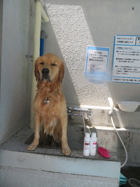 ファイル 7249-5.jpg