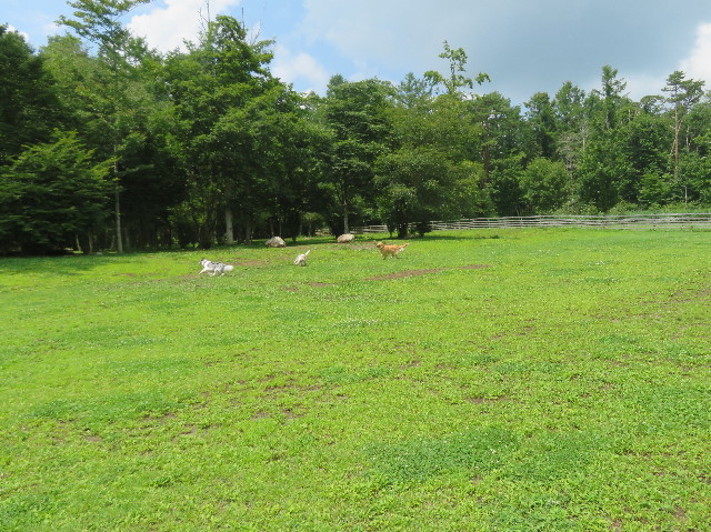 ファイル 7250-1.jpg