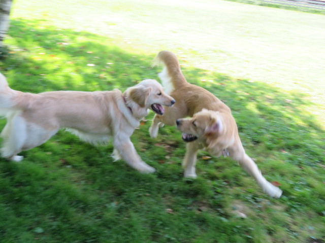 ファイル 7250-3.jpg