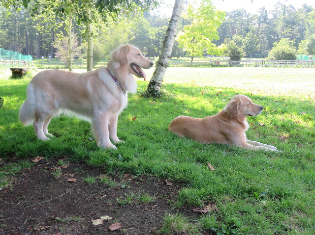 ファイル 7250-4.jpg