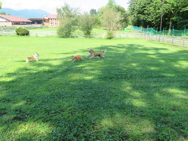 ファイル 7250-5.jpg