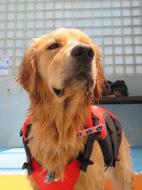 ファイル 7251-3.jpg