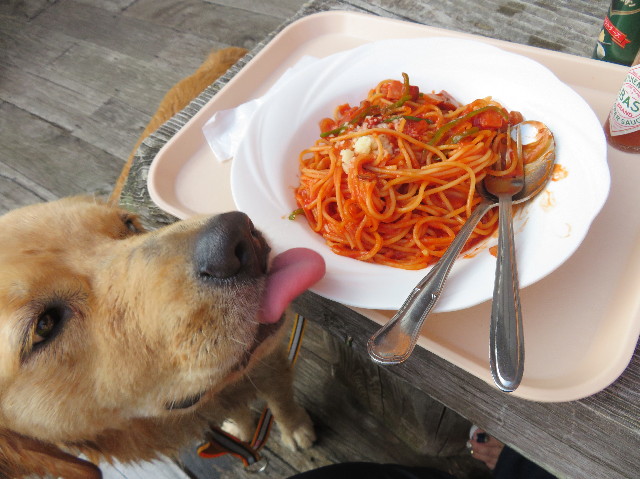 ファイル 7252-1.jpg