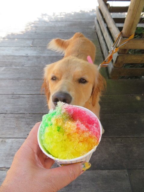 ファイル 7252-4.jpg