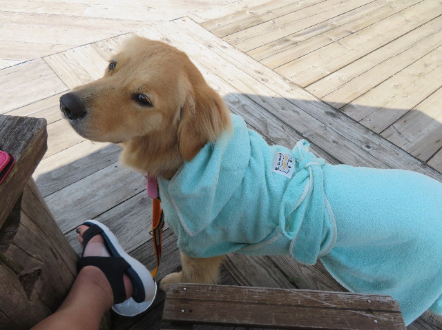 ファイル 7252-5.jpg