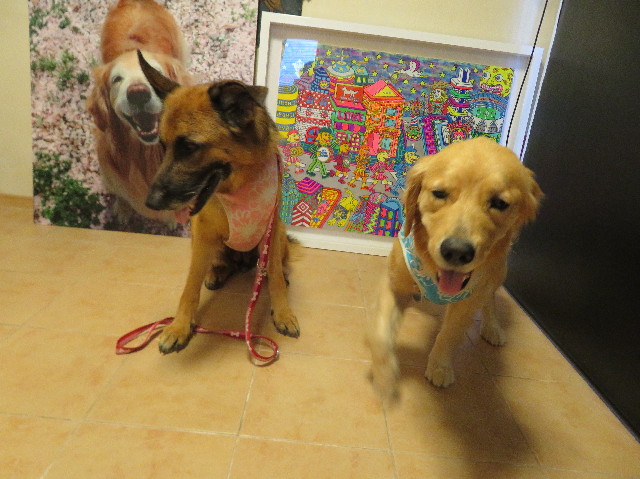 ファイル 7255-3.jpg