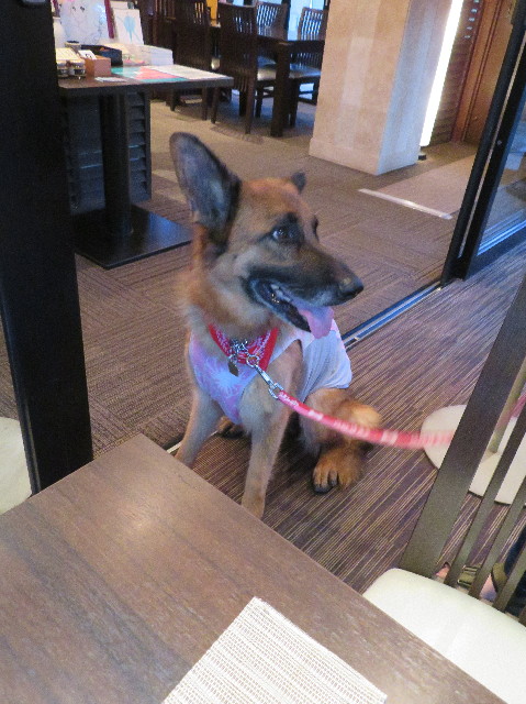 ファイル 7255-4.jpg