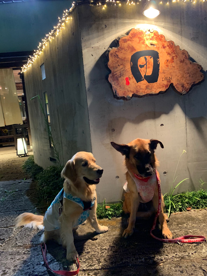 ファイル 7255-5.jpg