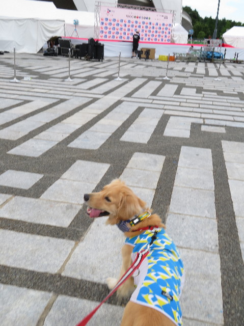 ファイル 7256-2.jpg