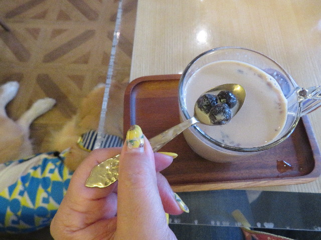 ファイル 7256-4.jpg