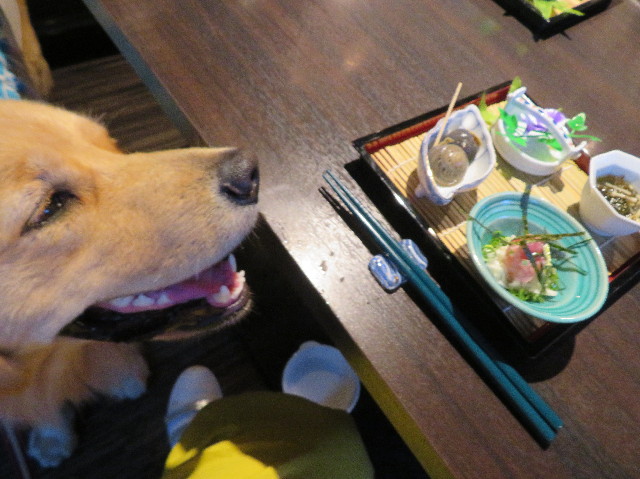 ファイル 7258-1.jpg