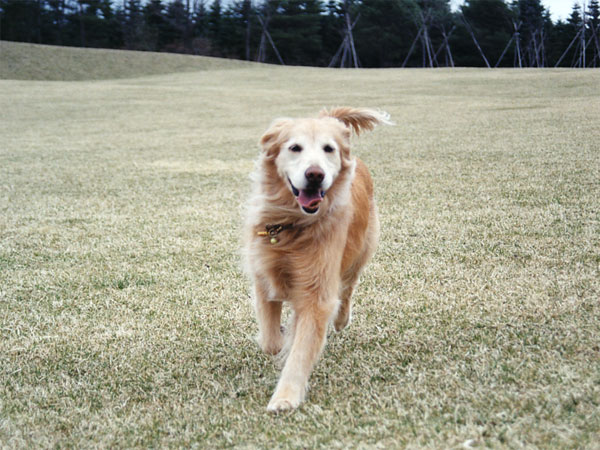 ファイル 7259-2.jpg