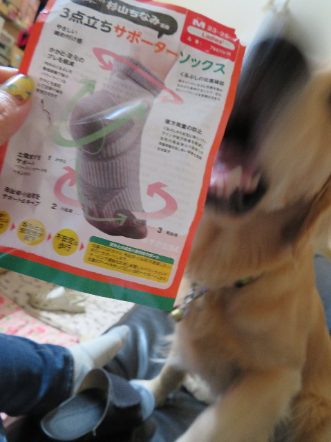 ファイル 7260-4.jpg