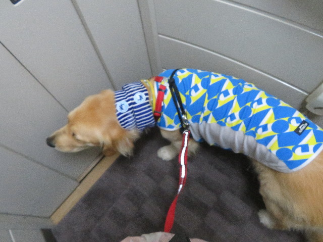 ファイル 7263-1.jpg