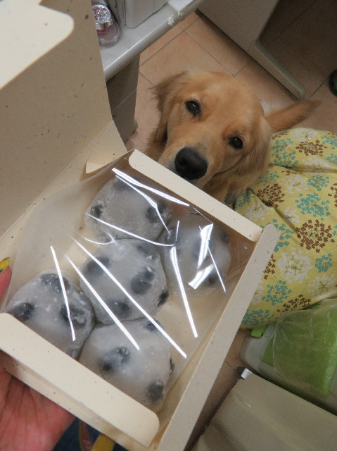 ファイル 7263-4.jpg