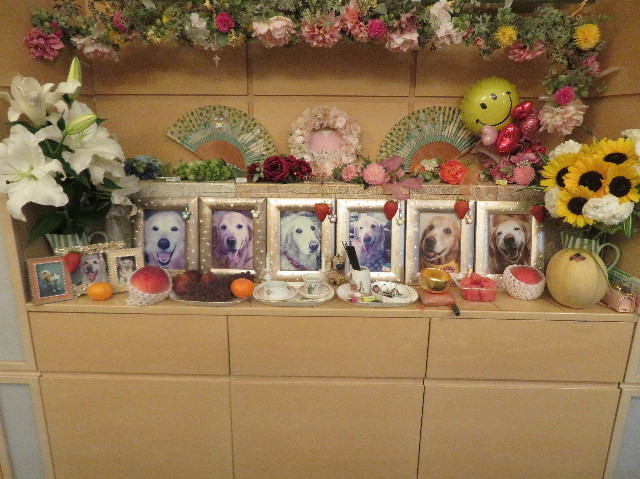 ファイル 7264-5.jpg