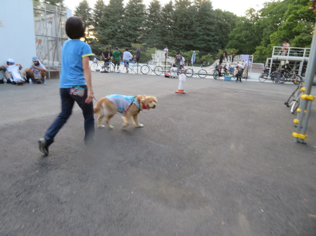 ファイル 7265-1.jpg