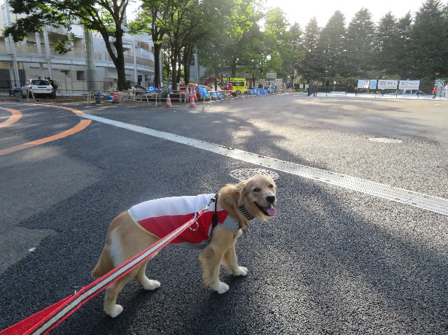 ファイル 7265-2.jpg